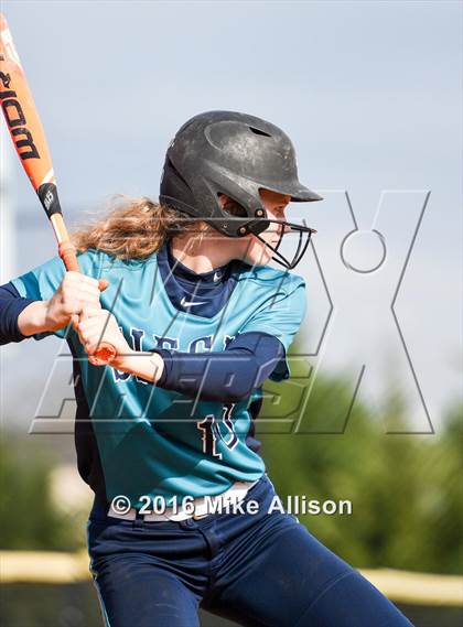 Thumbnail 3 in Siegel vs Montini photogallery.