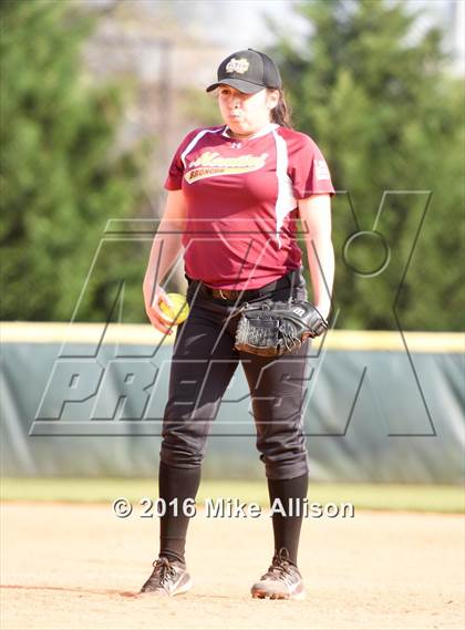 Thumbnail 1 in Siegel vs Montini photogallery.