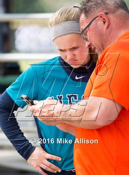 Thumbnail 1 in Siegel vs Montini photogallery.