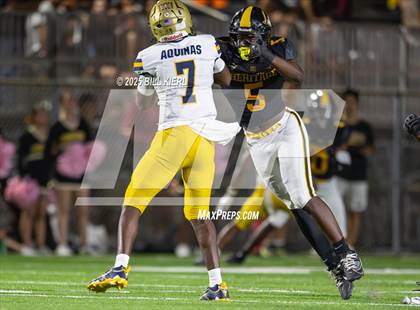 Thumbnail 2 in St. Thomas Aquinas @ American Heritage photogallery.