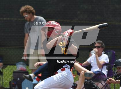 Thumbnail 1 in Williamsville East @ Hamburg photogallery.