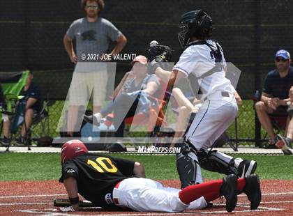 Thumbnail 3 in Williamsville East @ Hamburg photogallery.