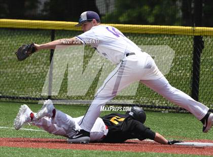 Thumbnail 2 in Williamsville East @ Hamburg photogallery.