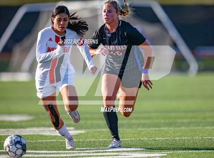 Thumbnail 2 in Grand Oaks vs Westfield (UIL 6A Bi-District Area Playoff) photogallery.