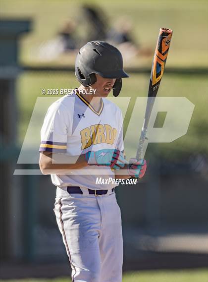 Thumbnail 3 in Bellevue West @ Millard West photogallery.