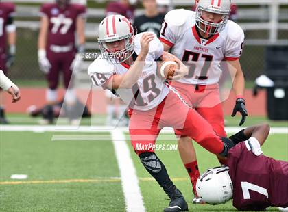 Thumbnail 1 in North Haven @ Pomperaug photogallery.