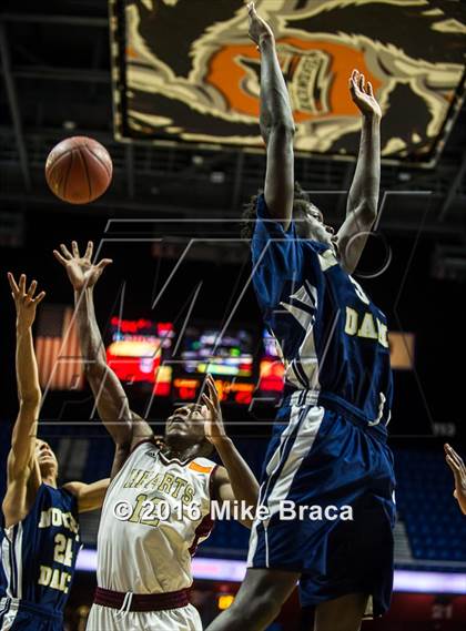 Thumbnail 2 in Sacred Heart vs. Notre Dame Catholic (CIAC Class M Final) photogallery.