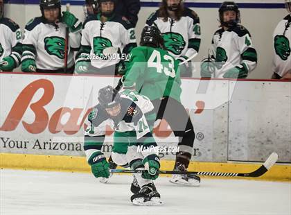 Thumbnail 1 in Perry-Basha D2B @ Campo D3 photogallery.