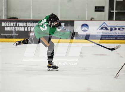 Thumbnail 2 in Perry-Basha D2B @ Campo D3 photogallery.