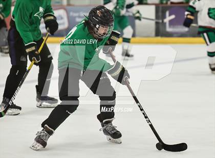 Thumbnail 1 in Perry-Basha D2B @ Campo D3 photogallery.