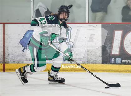Thumbnail 3 in Perry-Basha D2B @ Campo D3 photogallery.
