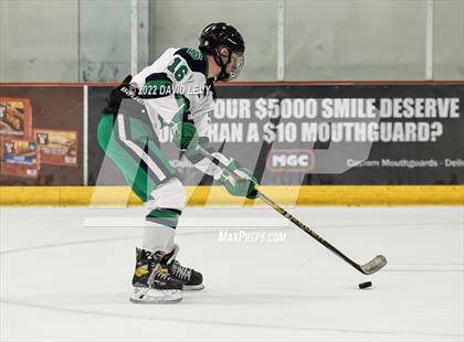 Thumbnail 1 in Perry-Basha D2B @ Campo D3 photogallery.