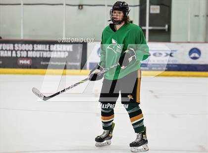 Thumbnail 2 in Perry-Basha D2B @ Campo D3 photogallery.