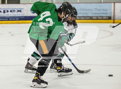 Thumbnail 2 in Perry-Basha D2B @ Campo D3 photogallery.