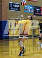 Photo from the gallery "Eldorado @ Legacy"