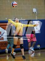 Photo from the gallery "Eldorado @ Legacy"