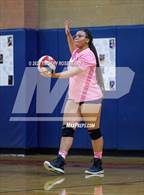 Photo from the gallery "Eldorado @ Legacy"
