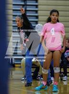 Photo from the gallery "Eldorado @ Legacy"