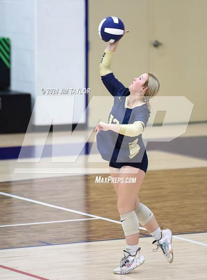 Thumbnail 1 in Santo @ Perrin_Whitt photogallery.