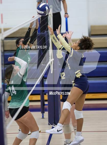 Thumbnail 3 in Santo @ Perrin_Whitt photogallery.