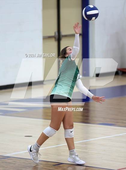 Thumbnail 1 in Santo @ Perrin_Whitt photogallery.