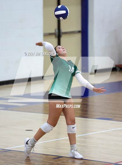 Thumbnail 3 in Santo @ Perrin_Whitt photogallery.