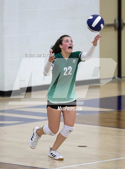 Thumbnail 1 in Santo @ Perrin_Whitt photogallery.