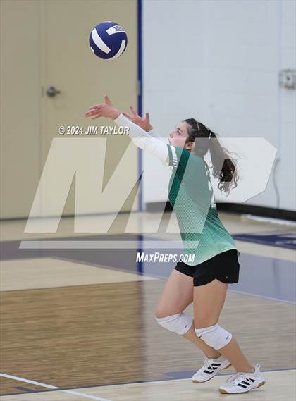 Thumbnail 3 in Santo @ Perrin_Whitt photogallery.