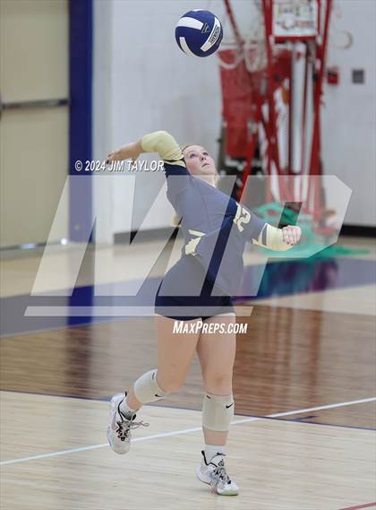 Thumbnail 3 in Santo @ Perrin_Whitt photogallery.