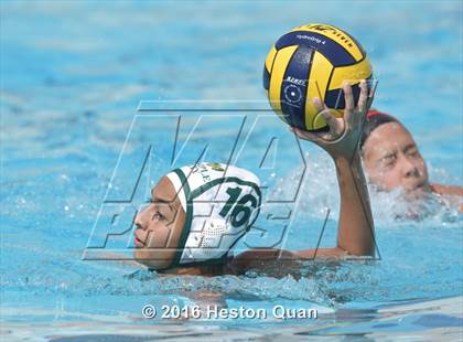 Thumbnail 3 in Palm Desert @ Temple City (CIF-SS D5 Final) photogallery.