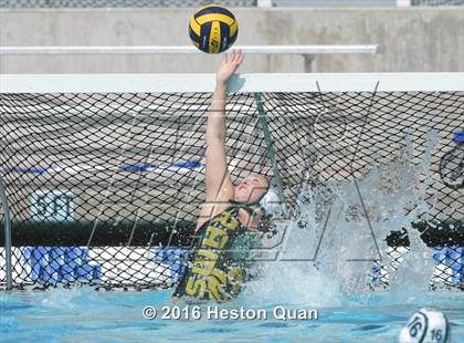 Thumbnail 3 in Palm Desert @ Temple City (CIF-SS D5 Final) photogallery.