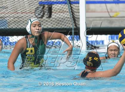 Thumbnail 2 in Palm Desert @ Temple City (CIF-SS D5 Final) photogallery.