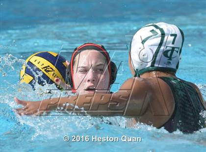 Thumbnail 1 in Palm Desert @ Temple City (CIF-SS D5 Final) photogallery.