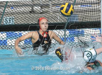 Thumbnail 3 in Palm Desert @ Temple City (CIF-SS D5 Final) photogallery.