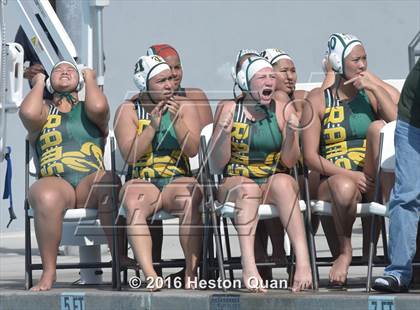 Thumbnail 2 in Palm Desert @ Temple City (CIF-SS D5 Final) photogallery.