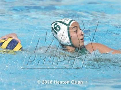 Thumbnail 1 in Palm Desert @ Temple City (CIF-SS D5 Final) photogallery.
