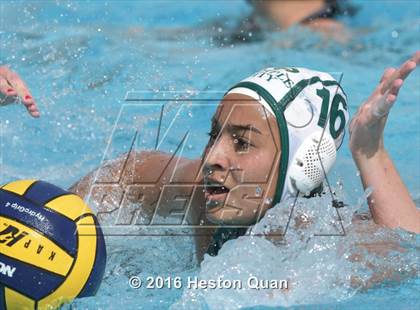 Thumbnail 3 in Palm Desert @ Temple City (CIF-SS D5 Final) photogallery.