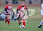 Photo from the gallery "Amanda-Clearcreek @ Liberty Union (OHSAA D3 Sectional)"
