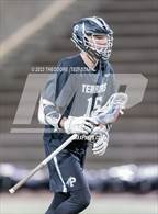 Photo from the gallery "Palmer @ Littleton"