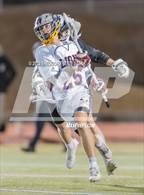 Photo from the gallery "Palmer @ Littleton"