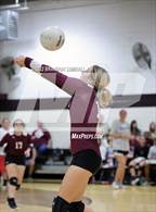 Photo from the gallery "Montevallo @ Thorsby"