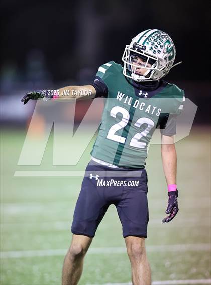 Thumbnail 2 in Lindsay @ Santo photogallery.