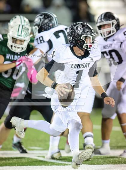 Thumbnail 2 in Lindsay @ Santo photogallery.