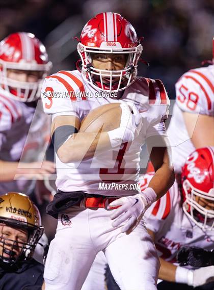 Thumbnail 1 in Crown Point @ Penn (IHSAA 6A Regional Final) photogallery.