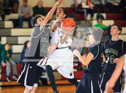 Thumbnail 1 in Coloma @ Watervliet photogallery.