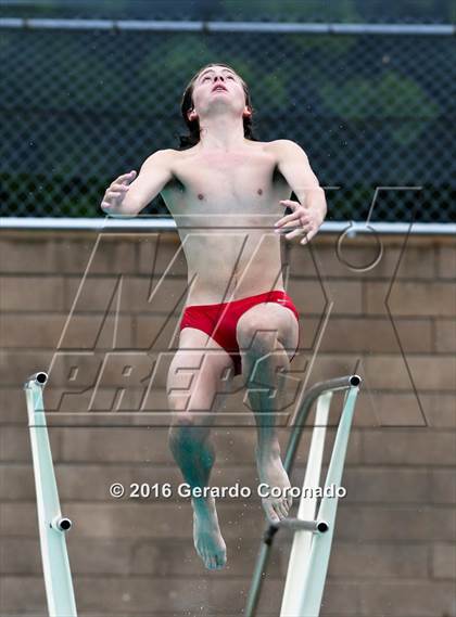 Thumbnail 2 in CIF SJS Boys Diving Finals photogallery.