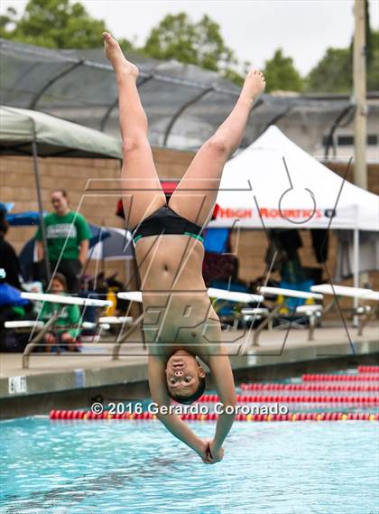 Thumbnail 3 in CIF SJS Boys Diving Finals photogallery.
