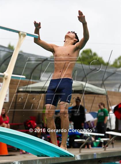 Thumbnail 2 in CIF SJS Boys Diving Finals photogallery.