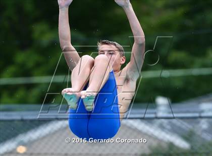Thumbnail 1 in CIF SJS Boys Diving Finals photogallery.