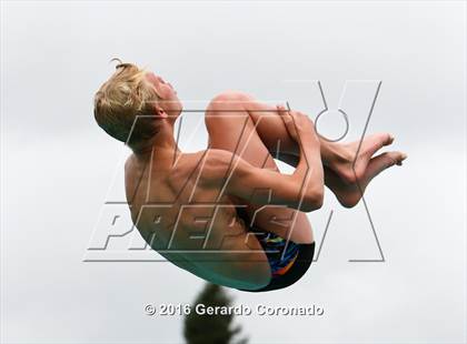 Thumbnail 3 in CIF SJS Boys Diving Finals photogallery.